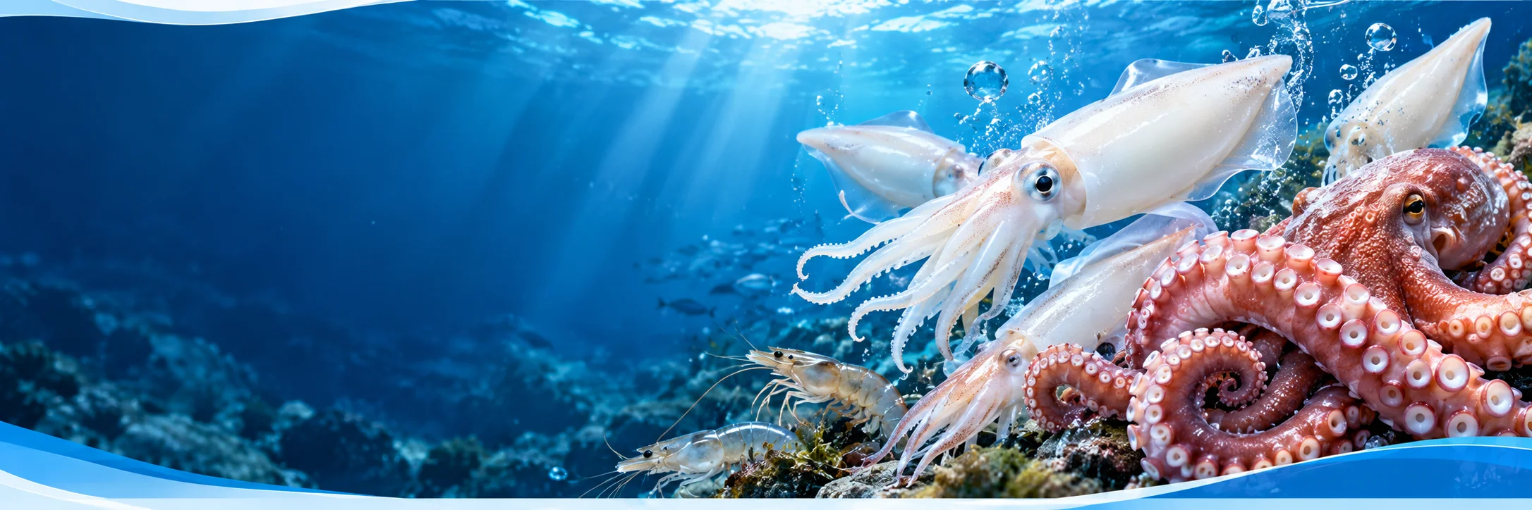 Frozen squid, octopus and shrimp on ice — premium seafood from Vietnam