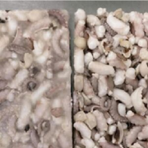 Frozen Blanched Poulp Squid Cut IQF Block