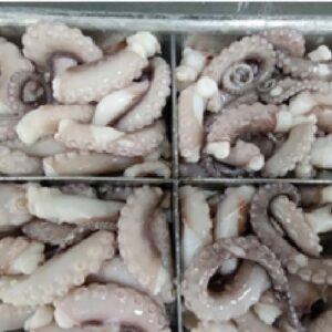 Frozen Cooked Poulp Squid Cut