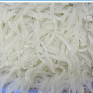 Frozen Cuttlefish Somen Cut