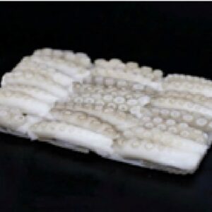 Frozen Raw Cut Poulp Squid (Block)