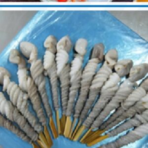 Frozen Skewer of Poulp Squid IQF