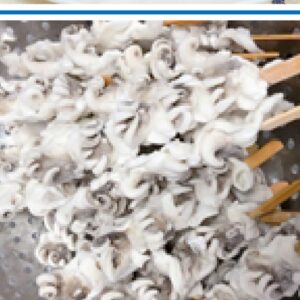 Frozen Skewer of Tentacle IQF