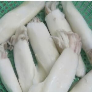 Frozen Squid Tube (Skin On)