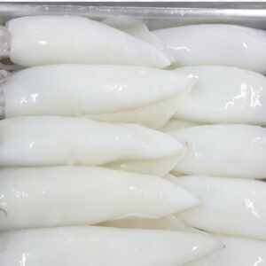 Frozen Squid Tube (Skinless)