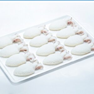 Frozen Whole Baby Cuttlefish