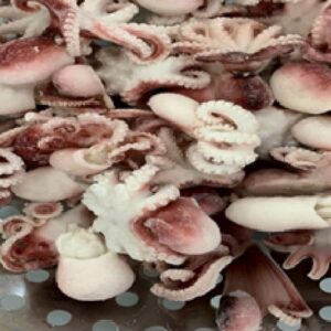 Frozen Whole Blanching Octopus
