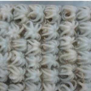 Frozen Whole Cleaned Baby Octopus Block