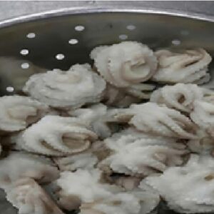 Frozen Whole Cleaned Baby Octopus IQF
