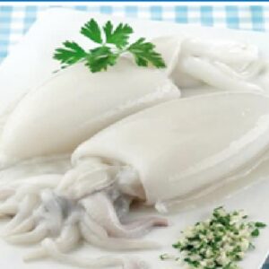 Frozen Whole Cleaned Cuttlefish