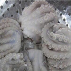 Frozen Whole Cleaned Poulp Squid IQF